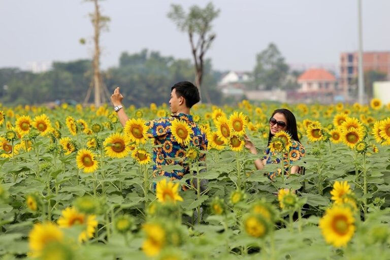 Hành trình 5 năm phát triển của Vạn Phúc City