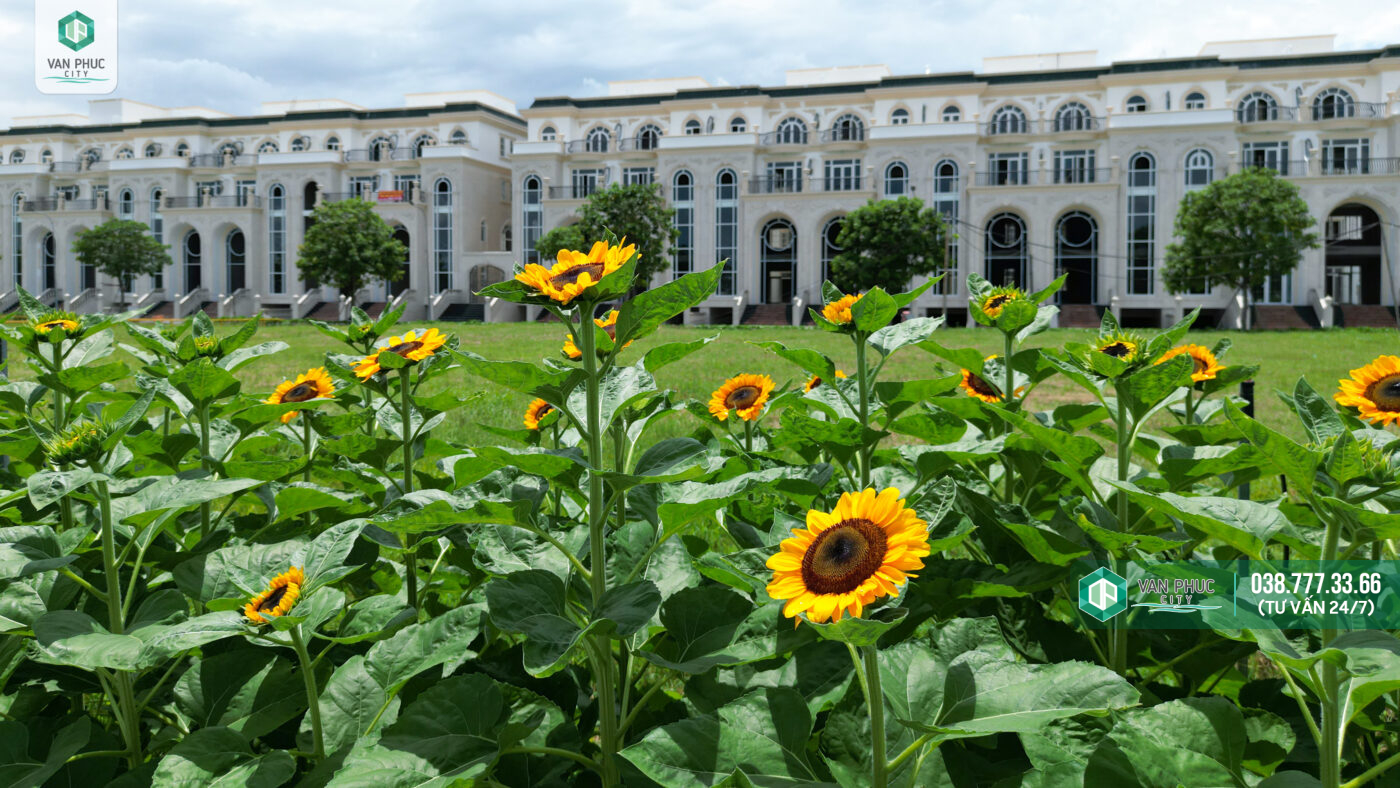 Khu đô thị Vạn Phúc City